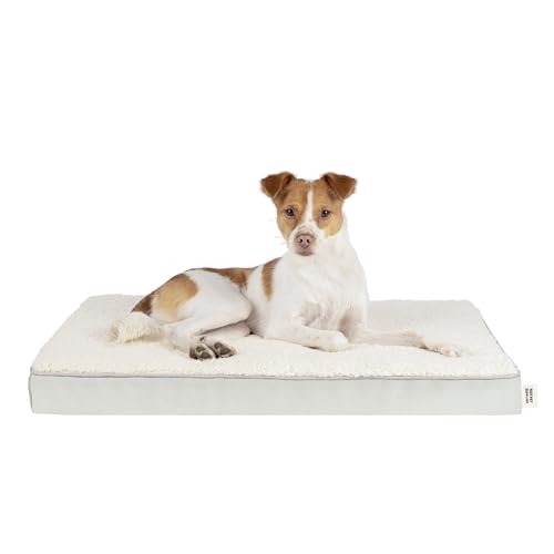 Best Pet Supplies Niedliche Hundebett-Matte, Flache Matratze mit wasserdichter Außenseite, Dicker orthopädischer Eierschaum-Füllung und weichem Sherpa-Fleece-Bezug für kleine, mittelgroße und große Best Pet Supplies Niedliche Hundebett-Matte, Flache Matratze mit wasserdichter Außenseite, Dicker orthopädischer Eierschaum-Füllung und weichem Sherpa-Fleece-Bezug für kleine, mittelgroße und große von Best Pet Supplies