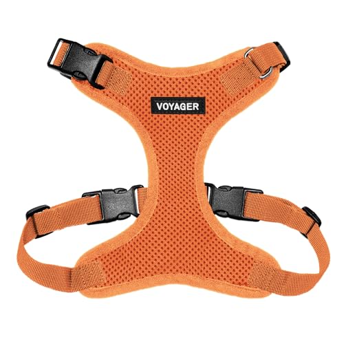 Best Pet Supplies Voyager Step-In Lock Haustiergeschirr – Allwetter-Netz, verstellbares Step-in-Geschirr für Katzen und Hunde – Orange, S von Best Pet Supplies