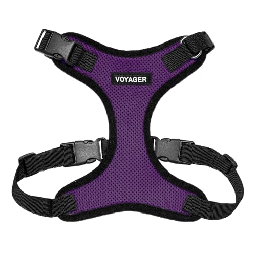 Best Pet Supplies Voyager Step-In Lock Haustiergeschirr – Allwetter-Netz, verstellbares Step-in-Geschirr für Katzen und Hunde – Violett/Schwarzer Rand, M von Best Pet Supplies