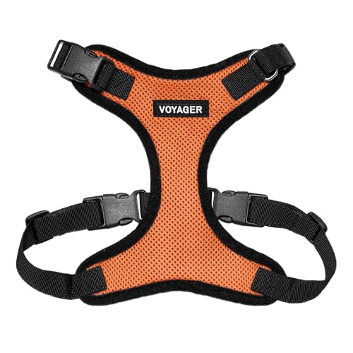 Voyager Step-In Lock Pet Harness – Allwetter-Mesh Verstellbares Step-in-Geschirr für Katzen und Hunde von Best Pet Supplies – Orange/Schwarzer Rand, XS von Best Pet Supplies