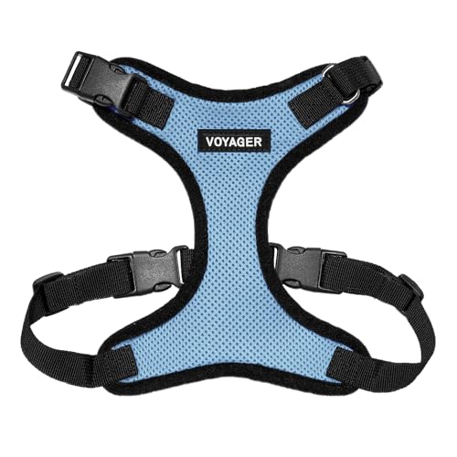 Voyager Step-In Lock Haustiergeschirr, Allwetter-Netzgewebe, verstellbares Step-in-Geschirr für Katzen und Hunde, von Best Pet Supplies – Babyblau/schwarzer Rand, Größe XS von Best Pet Supplies