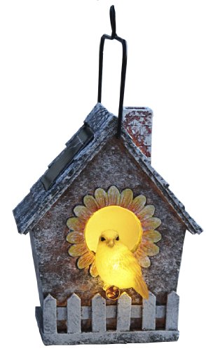 Best Season 477-91 LED-Solar-Vogelhaus, 23 x 13,5 cm, 2 warm weiß LED mit Solarpanel inklusive Akku, outdoor, Vierfarb-Karton von Best Season