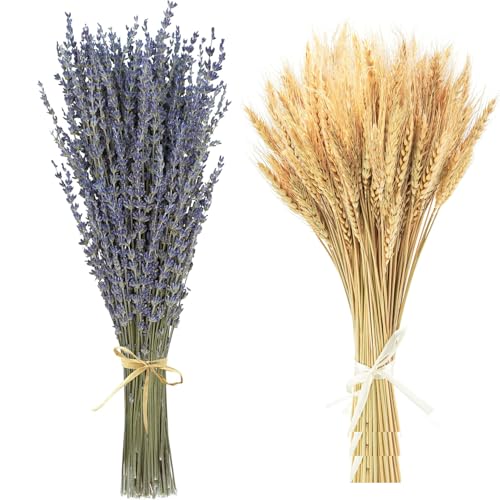 Trockenblumen Deko Set Natürliche Lavendel Getrocknet& Weizen Getrocknet Blumen Dried Flowers Pflanzen Blumenstrauß Boho Deko für Wohnzimmer Home Hochzeit Vasen Tischdeko von Best ZOIKOM
