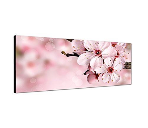 Kirschblütenbaum Wandbild auf Leinwand als Panorama in 120x40 cm Japanische Kirschblüte Sommer im Frühling beim blühen! Tolle Frühlingsfarben!pink rosa von Best for Home