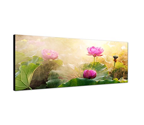 Wandbild auf Leinwand ( Leinwandbild ) als Panorama in 120x40 cm Lotusblume Lotos oder Lotus (Nelumbo) am blühen. Blumen aus Asien. Güne Lotusblätter. Wasserpflanzen von Best for Home