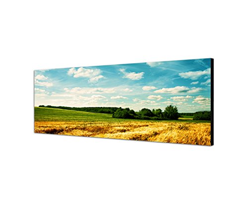 Wandbild auf Leinwand als Panorama in 120x40cm Landschaft Kornfeld Wolken Sommer von Best for Home