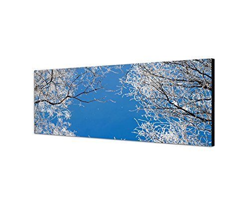 Wandbild auf Leinwand als Panorama in 120x40cm Winter Baumkronen Frost Eis Himmel von Best for Home