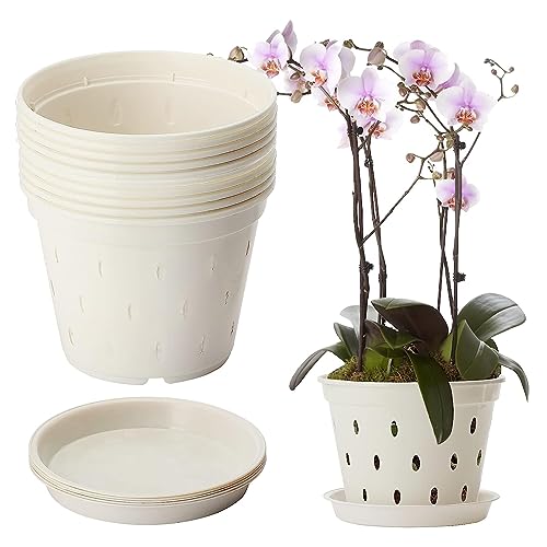 BestAlice 10 Stück Orchideentopf, 14 cm Orchideentöpfe mit Löchern und Untertassen, transparente Kunststoff-Orchideentöpfe für Pflanzen und Umtopfen, Garten-Pflanzgefäße Töpfe für Home Office von BestAlice