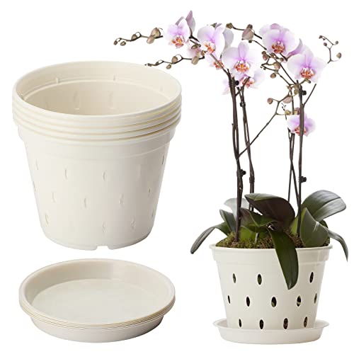 BestAlice 5er-Pack Orchideentöpfe, 5,6-Zoll-Orchideentöpfe mit Löchern und Untertassen, Durchsichtige Orchideentöpfe aus Kunststoff Zum Pflanzen und Umtopfen, Gartenpflanztöpfe für Den(Weiß) von BestAlice