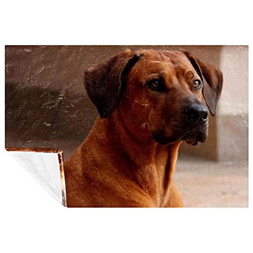 BestIdeas Rhodesian Ridgeback Hundedecke, weich, warm, gemütlich, Überwurf für Bett, Couch, Sofa, Picknick, Camping, Strand, 150 x 200 cm von BestIdeas