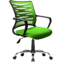 Schreibtischstuhl ergonomisch in Grün Lendenwirbelstütze von BestLivingHome