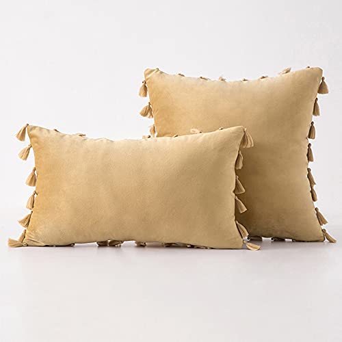 Bestenrose 2er Set Samt Kissenbezug mit Quaste Kissenhülle Dekorative Dekokissen Kissen Couchkissen Sofakissen für Wohnzimmer Schlafzimmer (30x50cm, Khaki) von Bestenrose