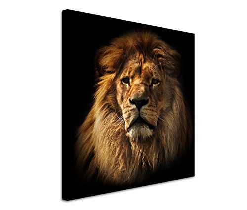 Bestforhome GmbH Modernes Bild 90x90cm Tierfotografie – Großer ausgewachsener Löwe im Porträt von Bestforhome GmbH