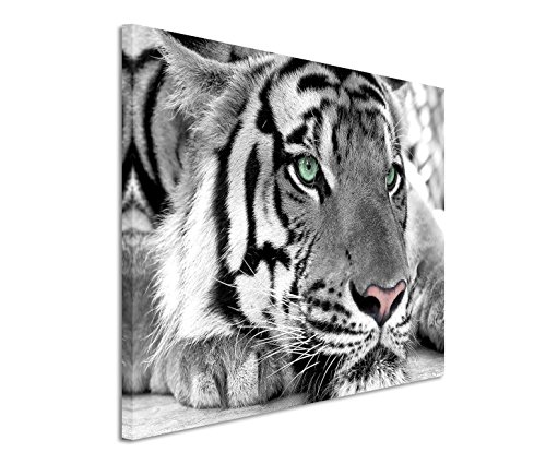 Modernes Bild 120x80cm Künstlerische Fotografie – Weißer Tiger mit grünen Augen von Bestforhome GmbH