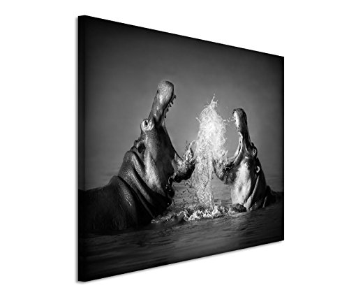 Modernes Bild 120x80cm Tierfotografie – Nahaufnahme kämpfender Nilpferde von Bestforhome GmbH