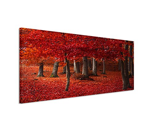 Modernes Bild 150x50cm Landschaftsfotografie – Wald mit rotem Laub von Bestforhome GmbH