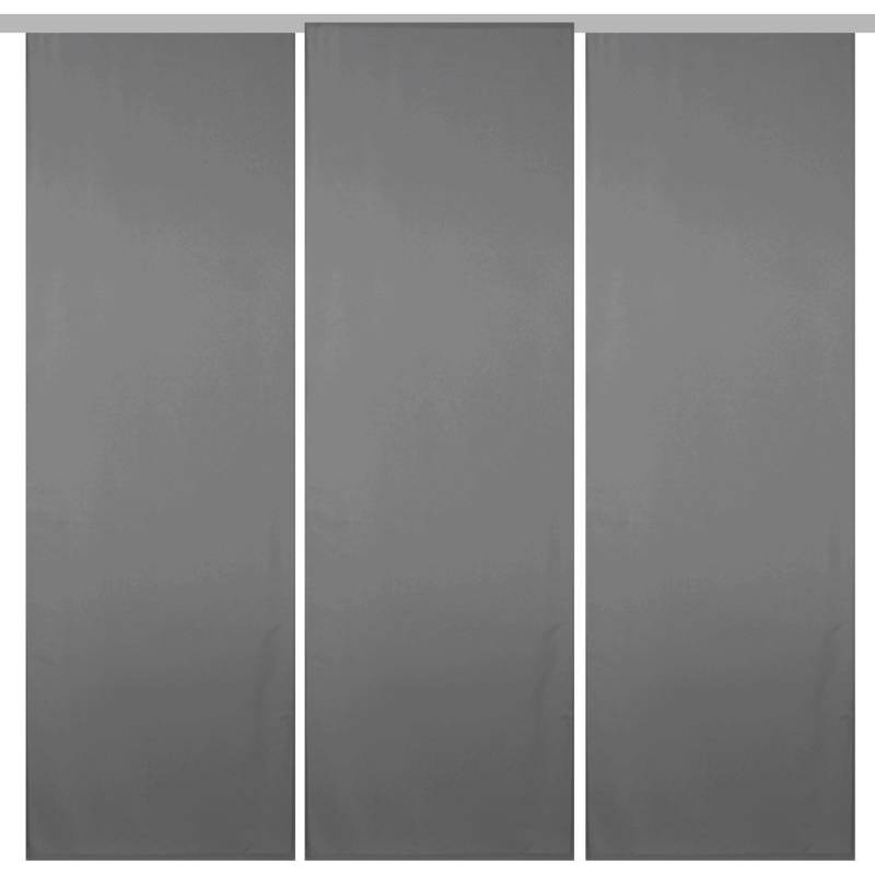 Bestgoodies Flächenvorhang Ellen 3er Pack Anthrazit von Bestgoodies