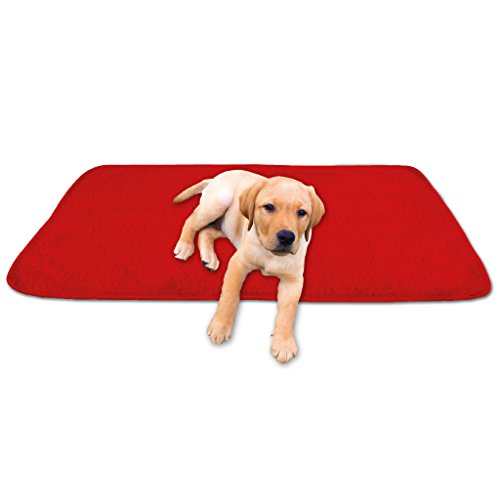 Bestgoodies Tierdecke Haustierdecke Kuscheldecke Hundebett Katzendecke (Lammflor - Design / 60x80 cm/rot - Salsa) von Bestgoodies