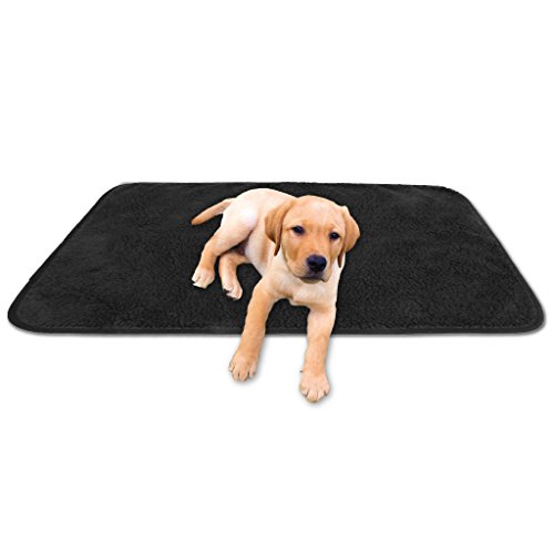 Bestgoodies Tierdecke Haustierdecke Kuscheldecke Hundebett Katzendecke (Lammflor - Design / 90x140 cm/schwarz - Jet Black) von Bestgoodies