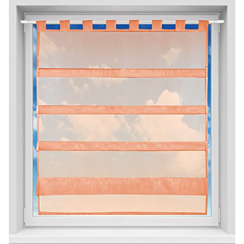 Bistrogardine in transparent mit Raffoptik, einfarbige und lichtdurchlässige Voile-Scheibengardine mit Schlaufe, in vielen Größen verfügbar 90 x 110 cm apricot - lachs von Bestgoodies