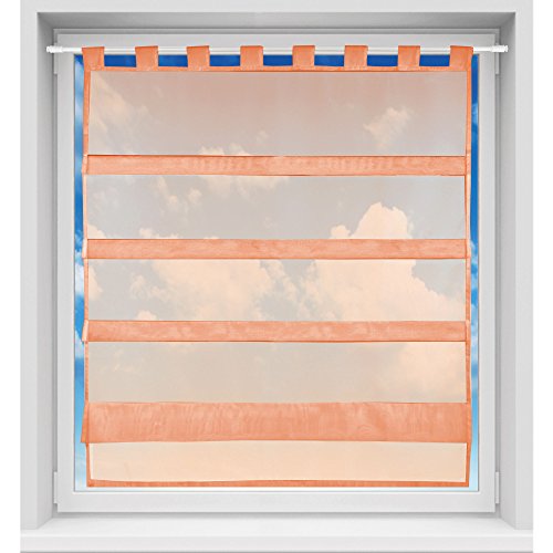 Bistrogardine in transparent mit Raffoptik, einfarbige und lichtdurchlässige Voile-Scheibengardine mit Schlaufe, in vielen Größen verfügbar 90 x 110 cm apricot - lachs Bistrogardine in transparent mit Raffoptik, einfarbige und lichtdurchlässige Voile-Scheibengardine mit Schlaufe, in vielen Größen verfügbar 90 x 110 cm apricot - lachs von Bestgoodies
