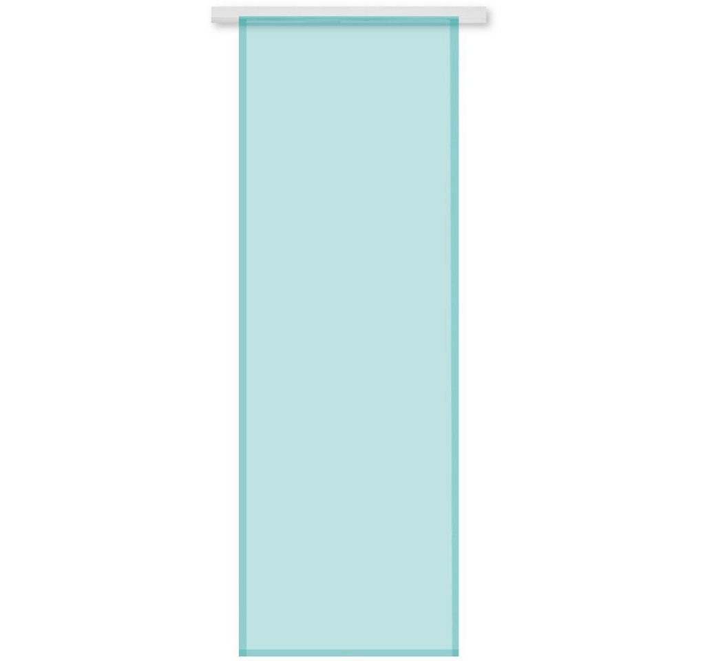 Vorhang, Bestgoodies, Klettband (1 St), transparent, Microfaser, Transparente Schiebegardine 60cm x 245cm (BxL), mit Klettband von Bestgoodies