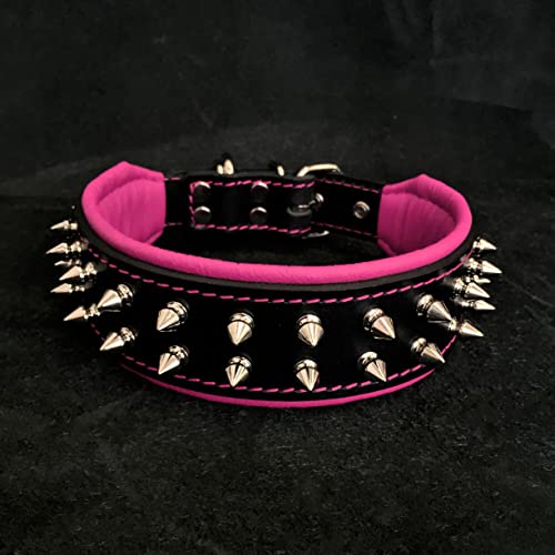 Bestia Frenchie Halsband mit Schraubspitzen. 100% Leder. French Bulldog Design. Mops. Bulldog. Terrier. 5 cm breit. Weich gepolstert. Handgefertigt in Europa! Bestia Frenchie Halsband mit Schraubspitzen. 100% Leder. French Bulldog Design. Mops. Bulldog. Terrier. 5 cm breit. Weich gepolstert. Handgefertigt in Europa! von Bestia
