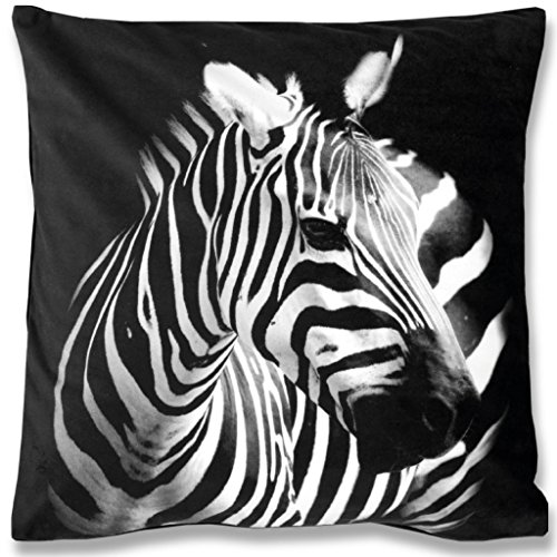 Bestlivings 2er Set Kissenbezug Fotodruck Motiv in 40x40 cm, Flauschig weiche Kissen-Hülle Doppelpack, viele Motive erhältlich (Design: Zebra) von Bestlivings