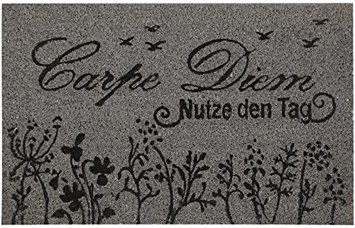 Bestlivings Fußmatte Kokos Schuhabtreter 40x60cm in grau (Carpe Diem Bunt), weitere Motive erhältlich von Bestlivings