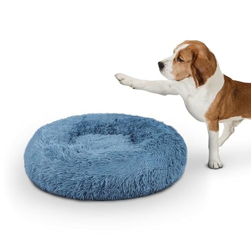 Bestlivings Haustierbett Fluffy Ø70cm (Türkis) XL - Hundekissen rund flauschig, Öko-Tex, rutschfest und waschbar - Hundebett Katzenbett Hunde & Katzen von Bestlivings