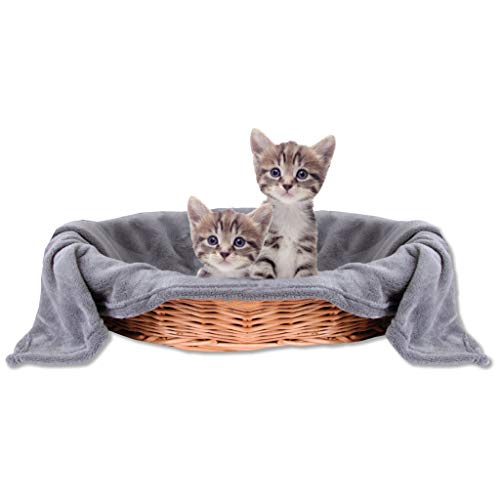 Bestlivings Haustierdecke Katzendecke Kuscheldecke Tierdecke, angenehm und super weich in vielen erhältlich (60x80 cm/steingrau - anthrazit) von Bestlivings
