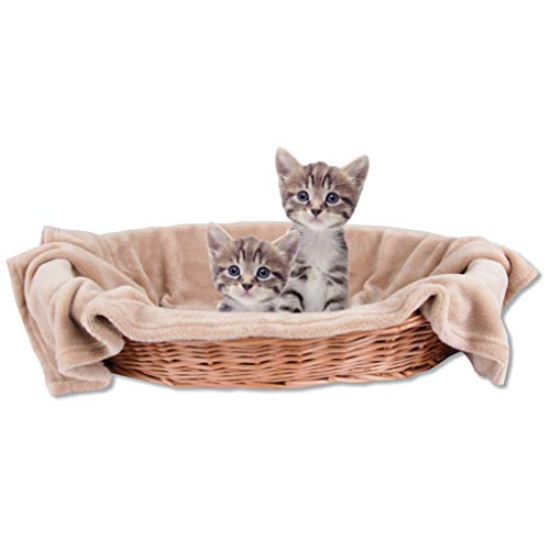 Bestlivings Haustierdecke Katzendecke Kuscheldecke Tierdecke, angenehm und super weich in vielen erhältlich (70x100 cm/beige - Hellbraun) von Bestlivings