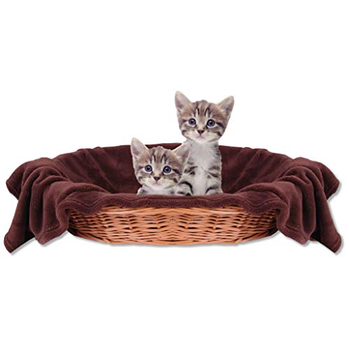 Bestlivings Haustierdecke Katzendecke Kuscheldecke Tierdecke, angenehm und super weich in vielen erhältlich (90x140 cm/braun - Dunkelbraun) von Bestlivings