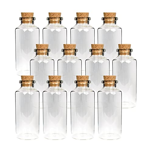 Bestlivings Mini Glasflaschen mit Korken 50ml (12er Pack) - Kleine Glasfläschchen zum Befüllen - Reagenzglas Glas für Hochzeit - Mini Gläser Gastgeschenke von Bestlivings