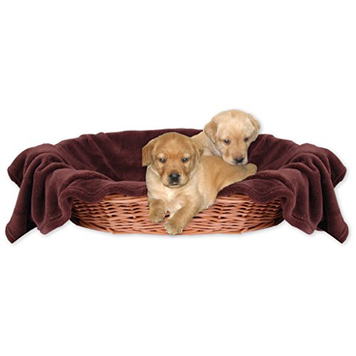 Bestlivings Tierdecke Hundedecke Kuscheldecke Haustierdecke, kuschelig weich in vielen erhältlich (60x80 cm/braun - Schokobraun) von Bestlivings