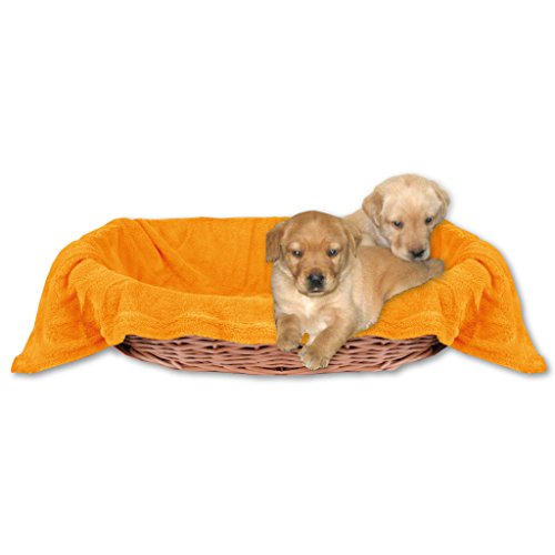 Bestlivings Tierdecke Hundedecke Kuscheldecke Haustierdecke, kuschelig weich in vielen erhältlich (60x80 cm/orange - apricot) von Bestlivings