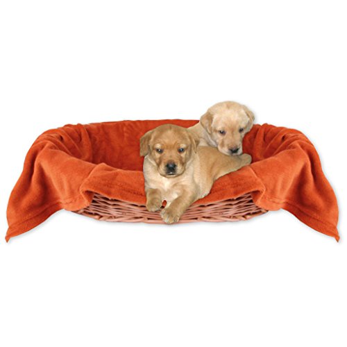 Bestlivings Tierdecke Hundedecke Kuscheldecke Haustierdecke, kuschelig weich in vielen erhältlich (80x120 cm/Terracotta - Ochre) von Bestlivings