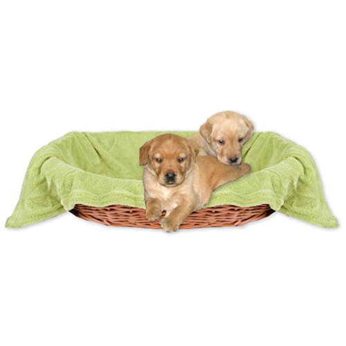 Bestlivings Tierdecke Hundedecke Kuscheldecke Haustierdecke, kuschelig weich in vielen erhältlich (80x120 cm/grün - olivgrün) von Bestlivings