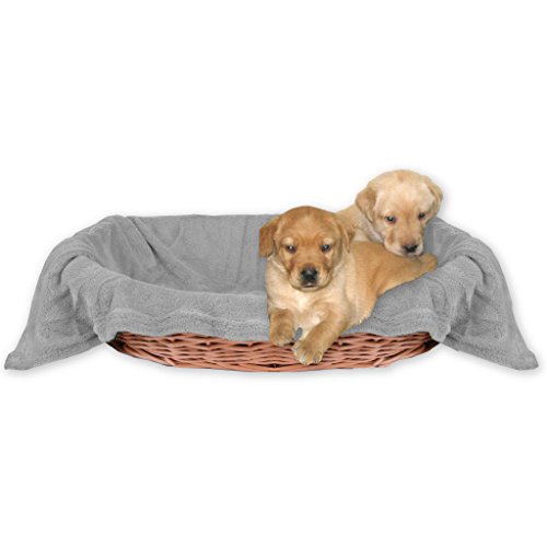 Bestlivings Tierdecke Hundedecke Kuscheldecke Haustierdecke, kuschelig weich in vielen erhältlich (80x120 cm/hellgrau - Silbergrau) von Bestlivings