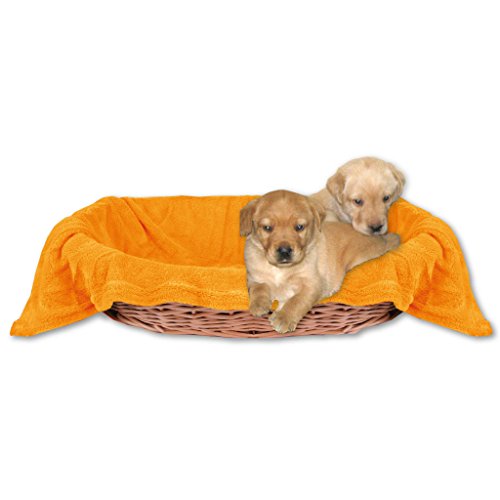 Bestlivings Tierdecke Hundedecke Kuscheldecke Haustierdecke, kuschelig weich in vielen erhältlich (80x120 cm/orange - apricot) von Bestlivings