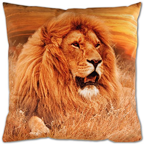 Bestlivings Kissenbezug inkl. Füllkissen mit Fotodruck 40x40cm, Flauschig weiche Kissenhülle, Bezug mit Reißverschluss, Dekokissen Sofakissen (Design: LÖWE/Sonnenuntergang) von Bestlivings