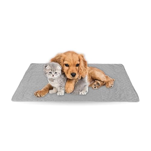 Haustiermatte - weiche warme Haustierdecken ÖKO-TEX 100 perfekt für Katzen bis große Hunde - S-XL - Steppdecke für Sofa/Bett - Schutz von Bestlivings