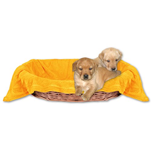 Tierdecke Hundedecke Kuscheldecke Haustierdecke, kuschelig weich in vielen erhältlich (70x100 cm/Hellorange - Marigold) von Bestlivings