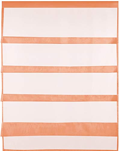 Transparente Bistrogardine Raffoptik mit Stangendurchzug in Voile, schlicht und modern in vielen erhältlich (80 x 110 cm/apricot - orange) von Bestlivings