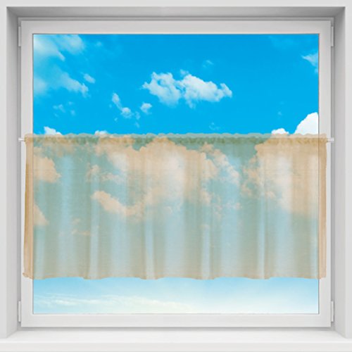 Transparente Bistrogardine Voile mit Stangendurchzug, Schlichte und Moderne Fensterdekoration in vielen Größen erhältlich (beige - Nude/ B160xL45) von Bestlivings
