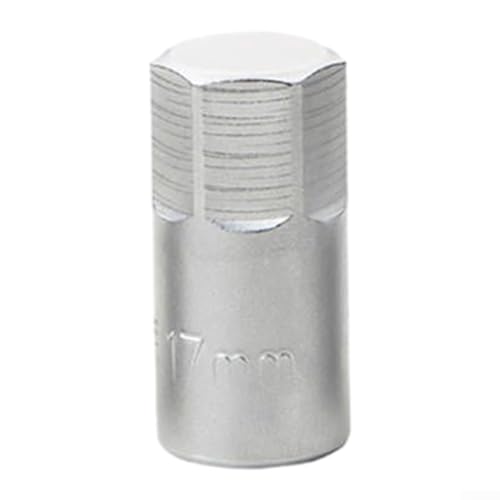 Automotive Steckschlüssel 3/8 Zoll Antrieb Ölwanne Ablassschraube Werkzeug H17 S8 S10 M16 Sechskant-Steckschlüssel für Getriebewartung und Fahrzeugwartung Autoreparatur Mechaniker Handwerkzeuge (H17) von Besttoolifes