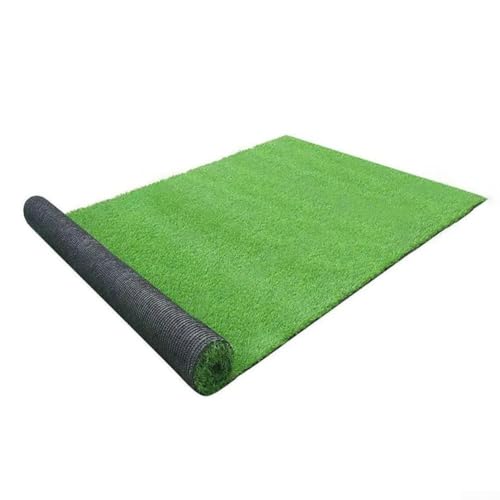 Besttoolifes Kunstrasen-Rasenrolle, dicker grüner Teppich, für Garten, Hinterhof, Veranda, Balkon, Haustierbereich, 0,5 x 1 m, Terrassengras (1 x 2 m) von Besttoolifes