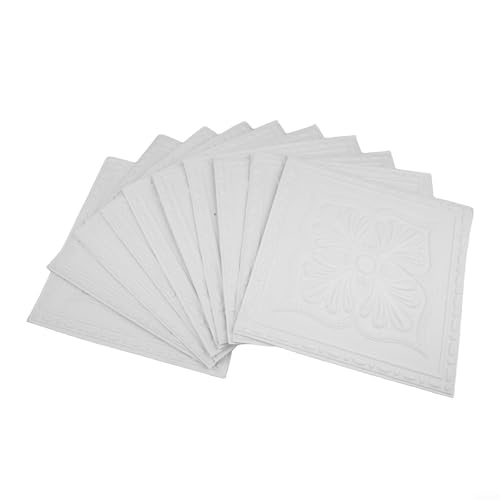 Besttoolifes Wasserdichte Deckentapete, 10 Stück, 35 x 35 cm, dekorative Wandaufkleber, XPE-Schaumplatten, öldicht, geeignet für Küche, Bad und Heimdekoration (C) von Besttoolifes