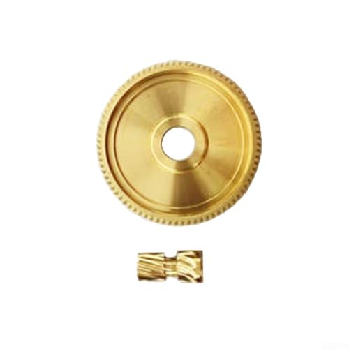 Ersatz-Kupplungsgetriebe für DAIWA PR100H PD106H BaitCasting Rolle, Kupferantrieb und Ritzel Getriebe-Set für Angelrollen-Reparatur (linke Hand) von Besttoolifes