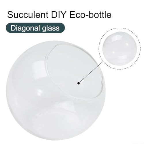 Terrarienbehälter Glasvase mit offenem Mund Design für Sukkulenten, klare Borosilikatglaskugeln mit Loch für Zuhause, Hochzeit und Ladendekoration (A) von Besttoolifes